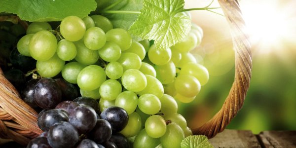 виноград портос