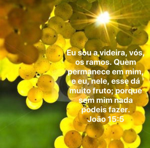 виноградная гроздь