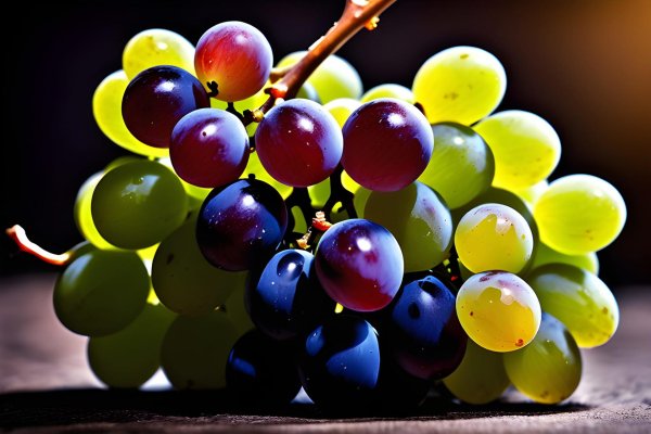 виноград разный