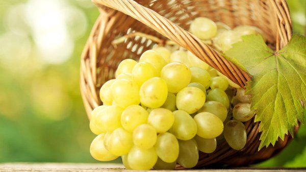 зеленый виноград