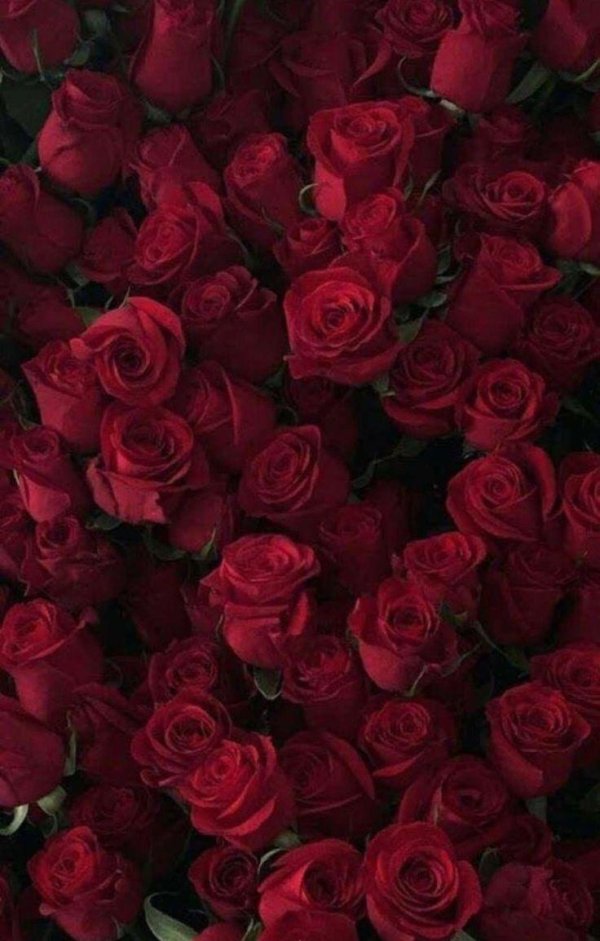 цветочные фоны