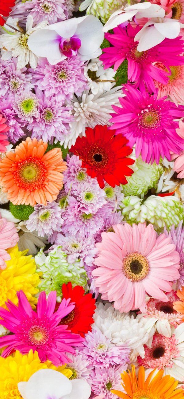 цветочные фоны