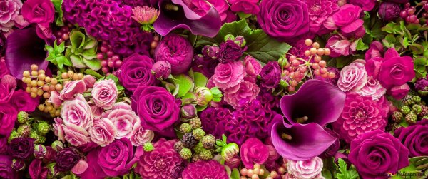 цветочные фоны