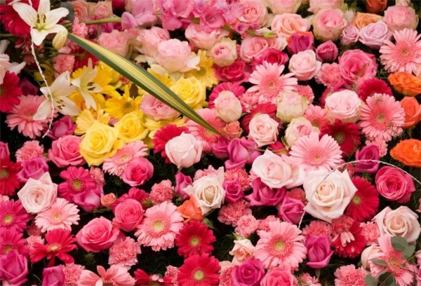 цветы огромный букет