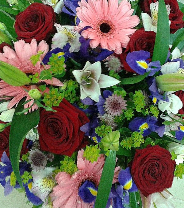 букет цветов герберы