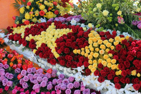 огромные букеты цветов