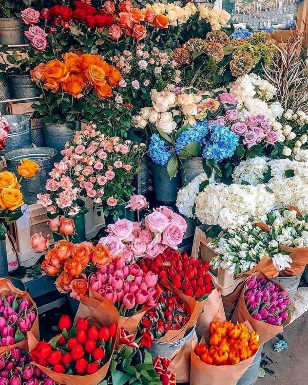 много букетов