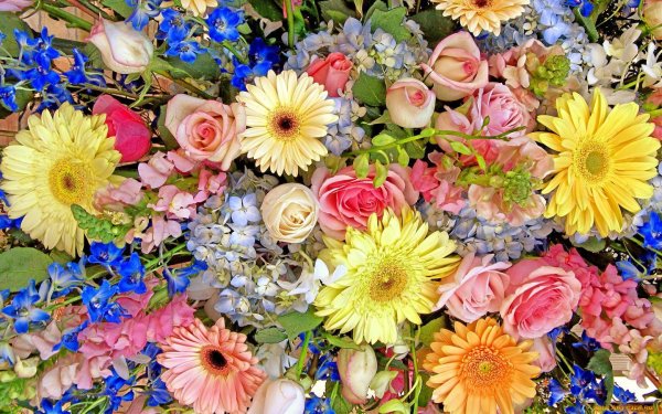 цветочный баннер