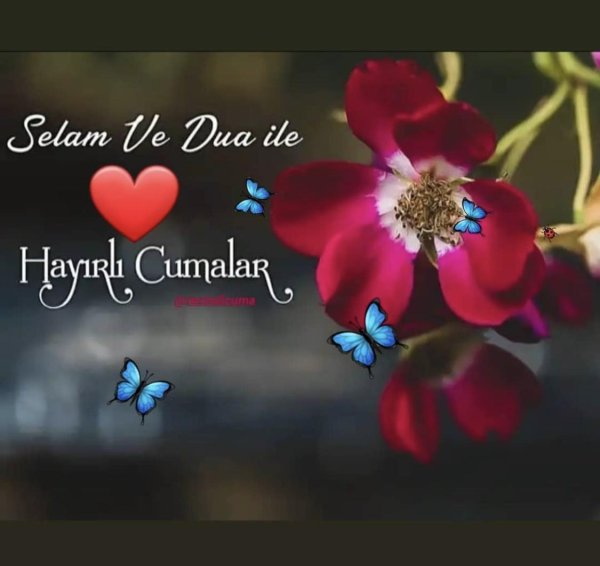 cumalar картинки