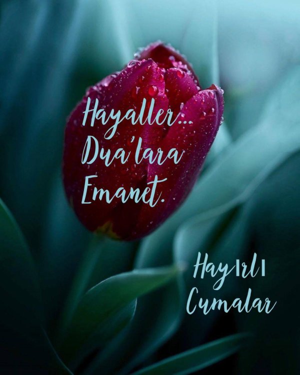hayırlı sabahlar