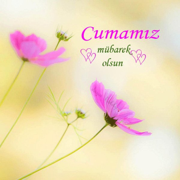 regaip kandiliniz mübarek olsun нежные картинки