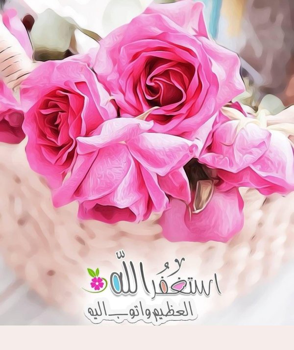 хейрли жумалар