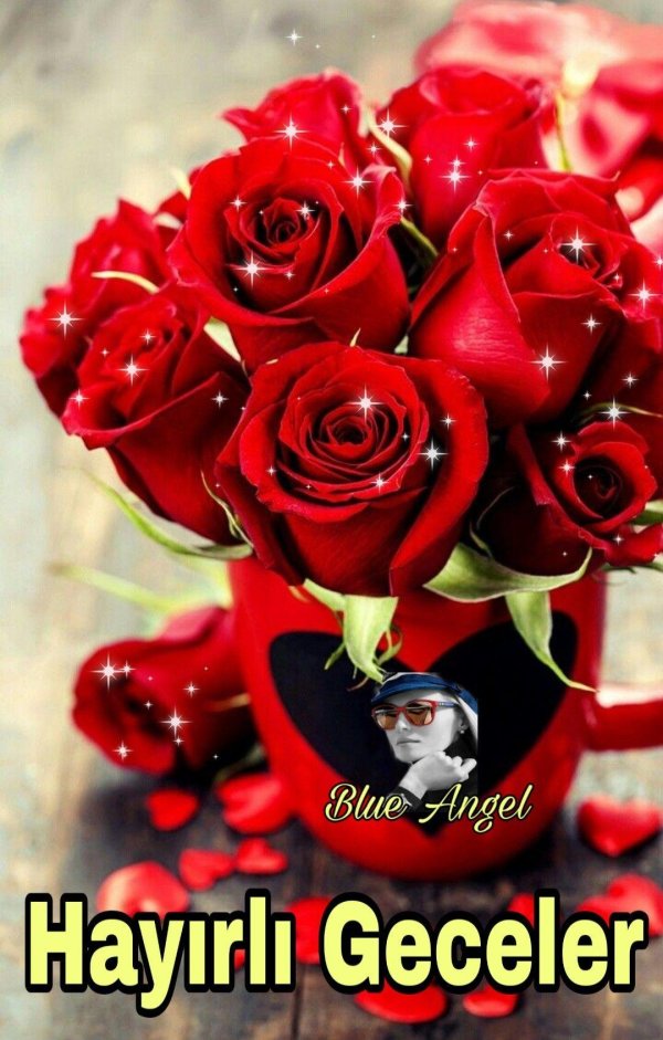 роза красивая