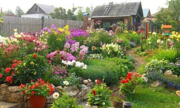 цветы в огород