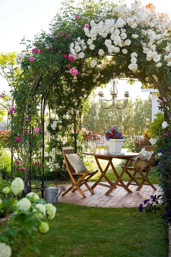 пергола розария