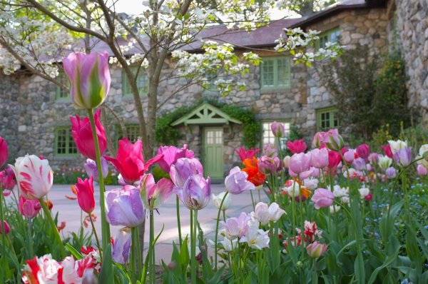 весенние сады