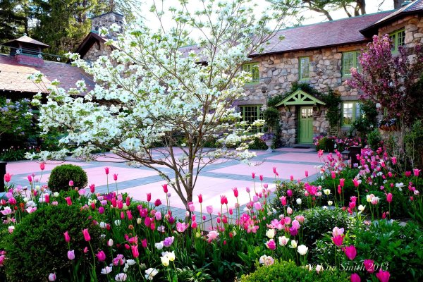 весенние сады