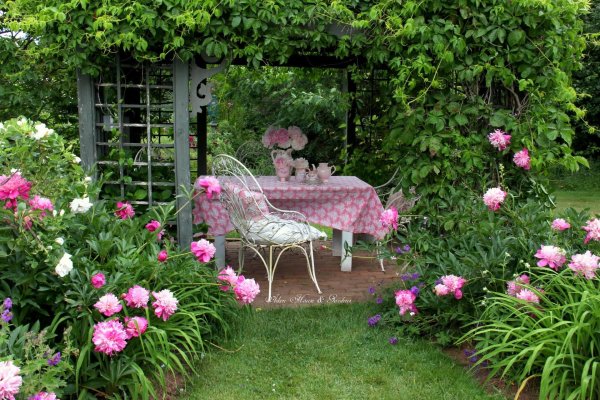 сад каролин айкен