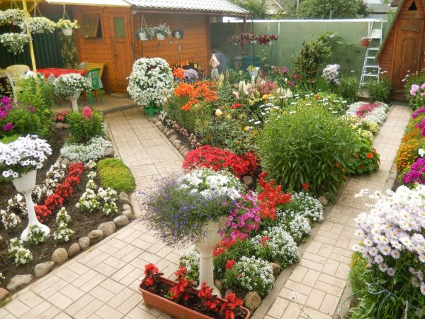 дизайн клумб на даче