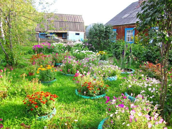 суздаль огороды палисадники