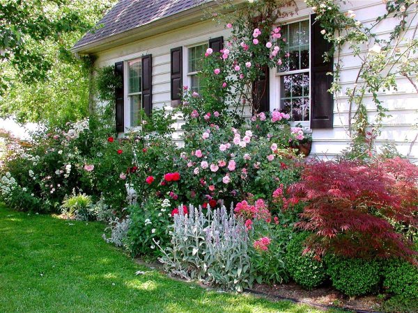 Дачи с цветами