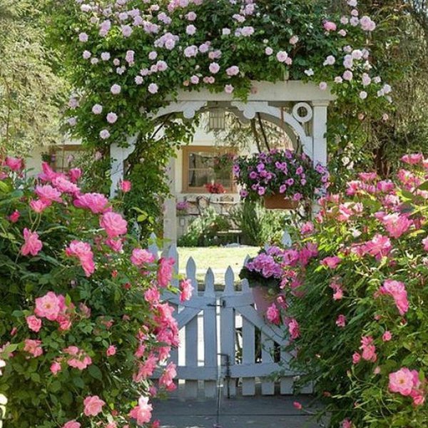 арка садовая пергола розария