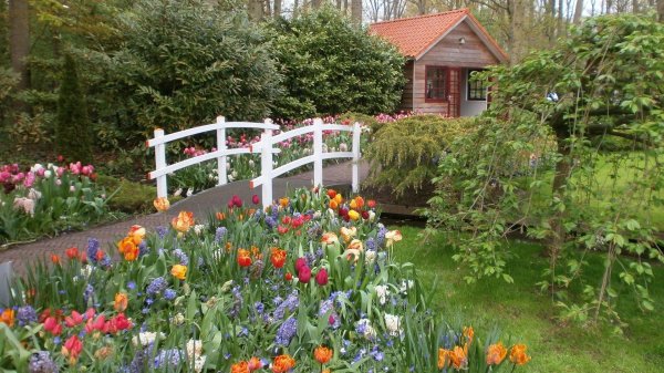 парк кейкенхоф голландия