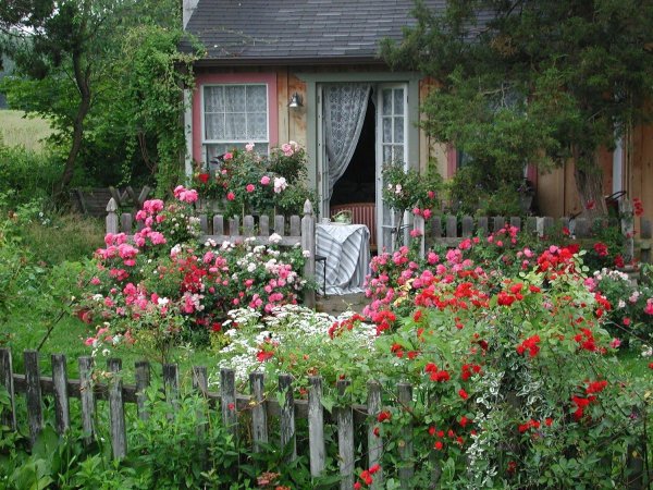 english cottage garden