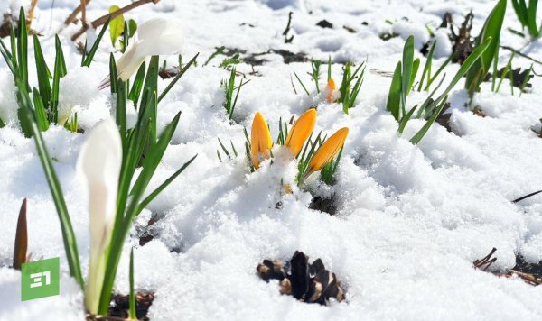 весенний снег