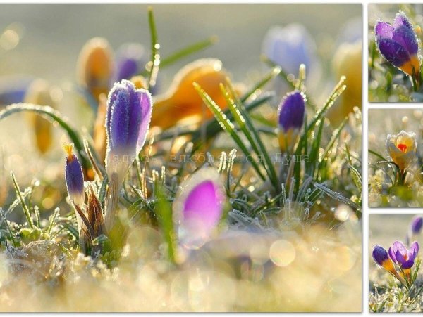 солнечного весеннего дня