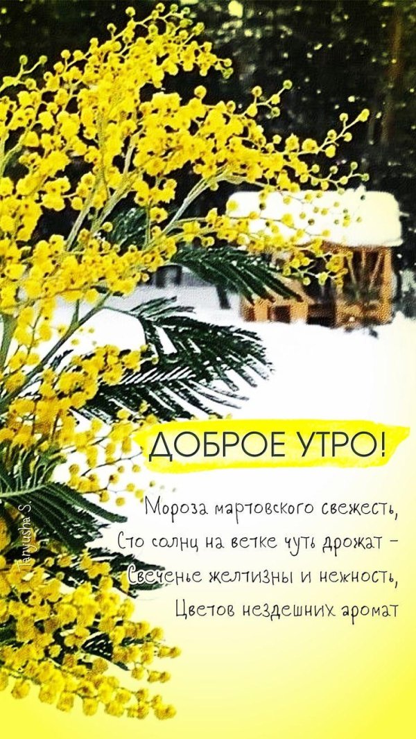 доброе утро мартовские