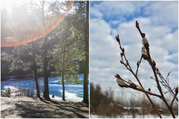 пробуждение природы