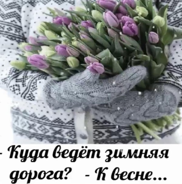 букет тюльпан