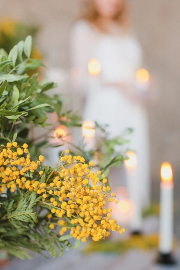 мимоза букет