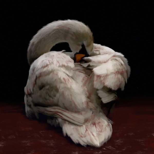 птица лебедь