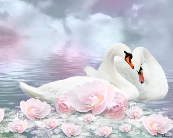картина лебеди
