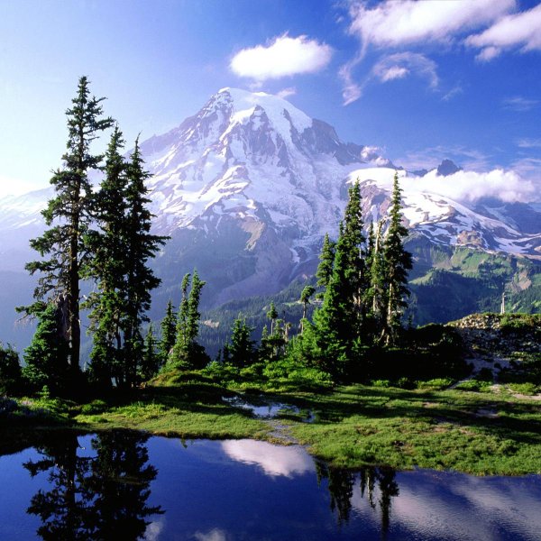 природа совершенна