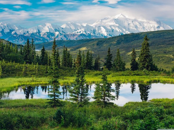 denali national park and preserve