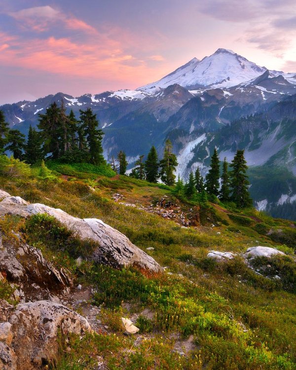 mt rainier national park
