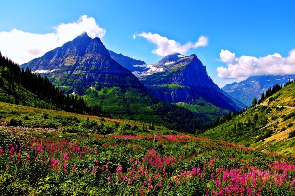 glacier national park