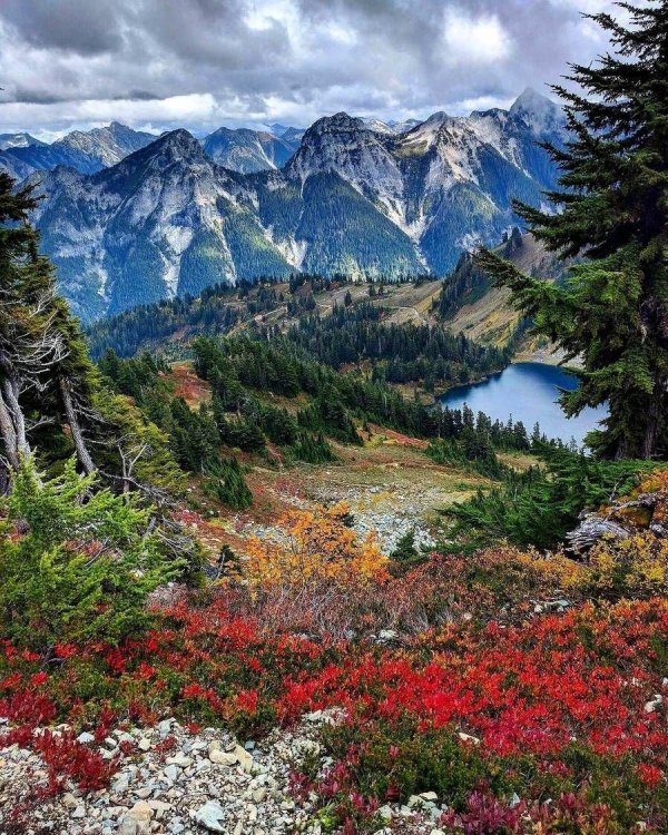 красивые пейзажи гор