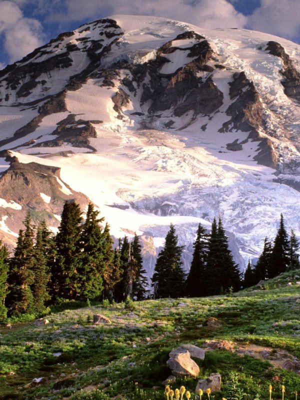 mt rainier national park