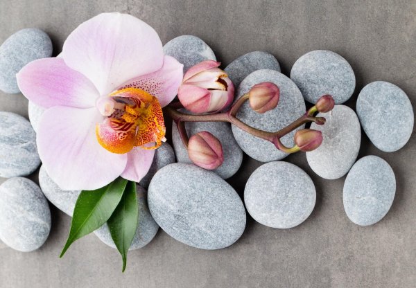 цветок камень