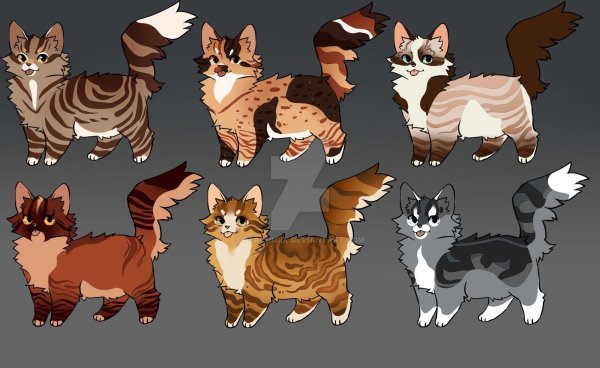 окрасы котов воителей