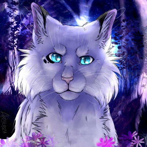 красивые арты котов воителей
