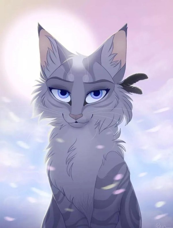 кот воители