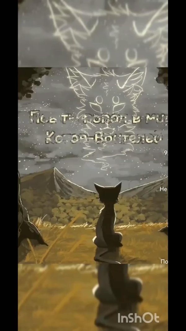 кот воители