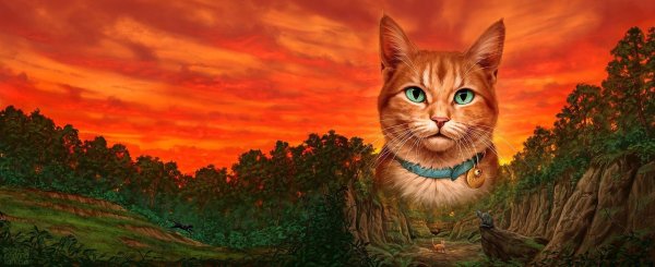 польские обложки котов воителей