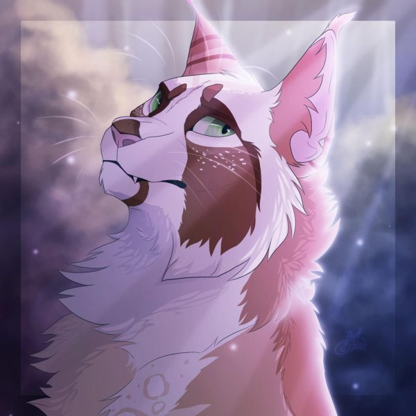 warrior cats ultimate edition