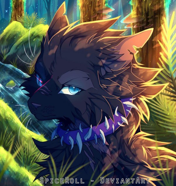 бич кот воитель